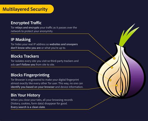 An exploration of the Dark Web—websites accessible only with special routing software—that examines the history of three anonymizing networks, Freenet, Tor, and I2P. . Onion web